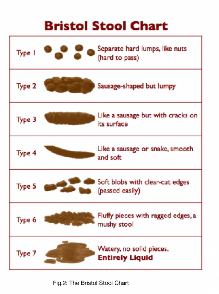 Let’s talk about POO........ - Sejal Jacob - Private Nutritionist ...